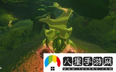 如何獲得塞爾達傳說(shuō)
