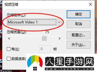 閃電GIF制作如何將GIF導出為視頻