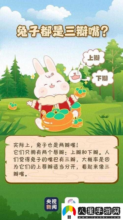 無(wú)人區編碼