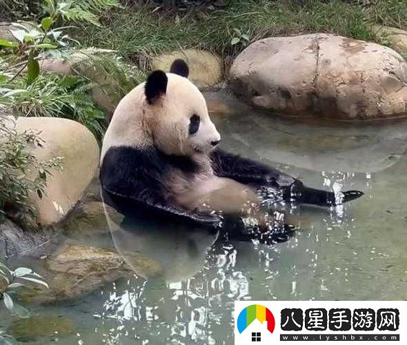 無(wú)人區編碼