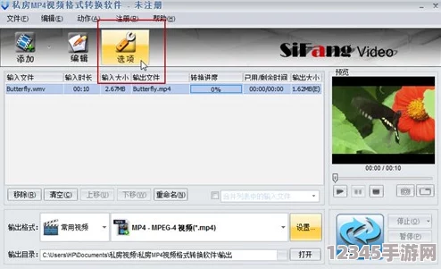 十八模軟件安裝，輕松獲取最新功能與使用技巧，提升你的工作效率和創(chuàng  )作靈感