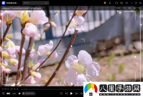 恒星播放器怎樣循環(huán)播放單個(gè)視頻