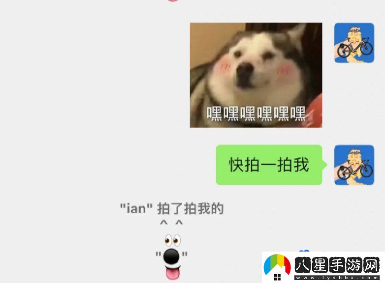 微信拍一拍小狗設置方法