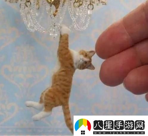 時(shí)間之神的貓210攻略路線(xiàn)詳情