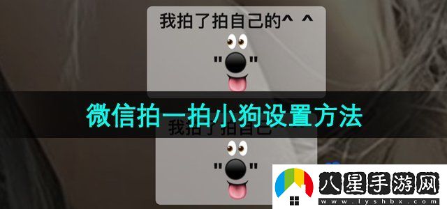 微信拍一拍小狗設置方法
