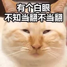 仙女肚子里面滿(mǎn)滿(mǎn)的都是精華
