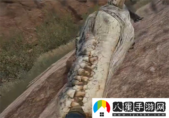為什么三角洲行動(dòng)會(huì )有鱷魚(yú)