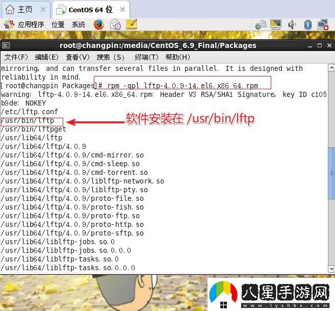 lftp另類(lèi)命名**