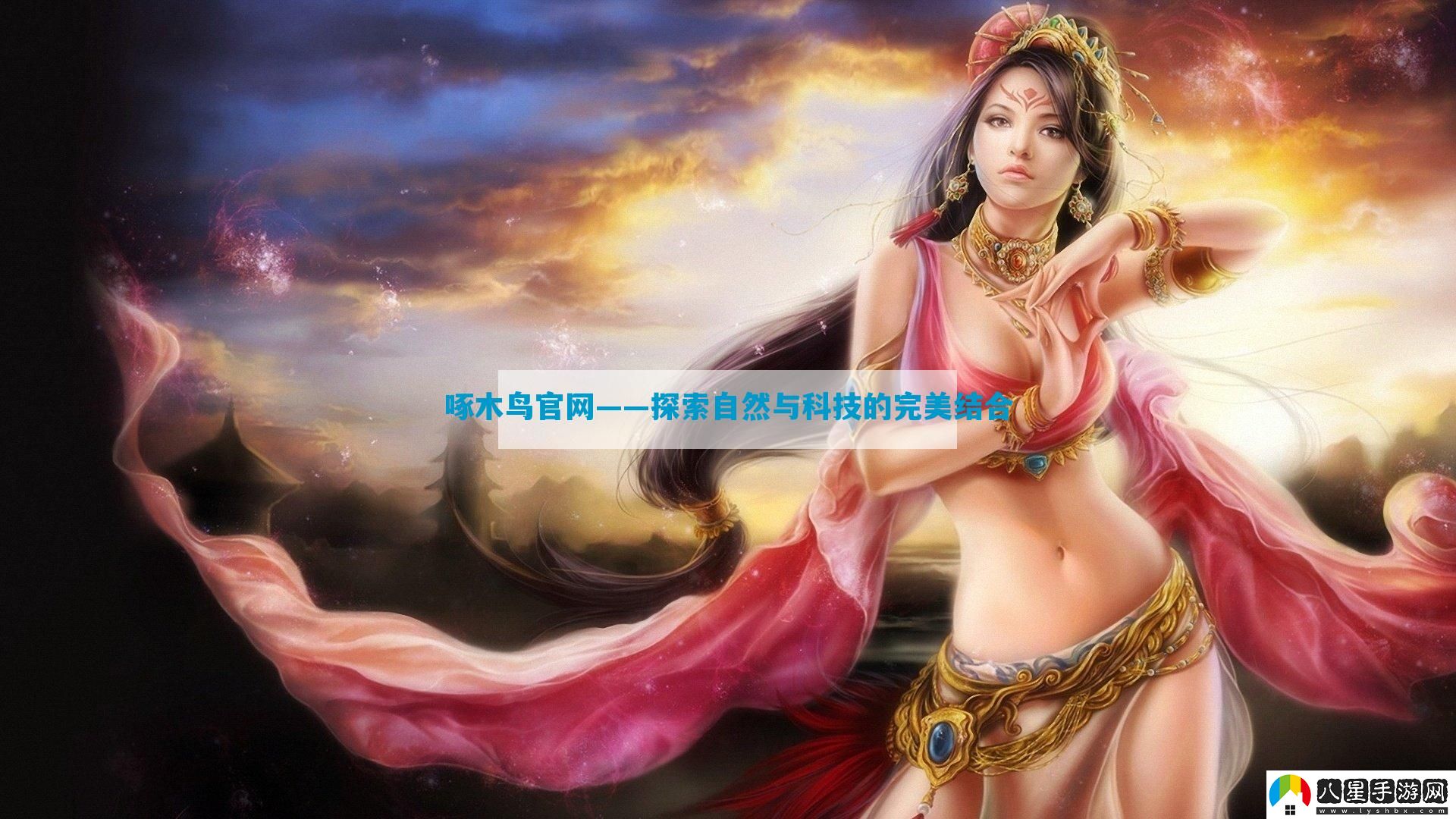 啄木鳥(niǎo)官網(wǎng)——探索自然與科技的完美結合
