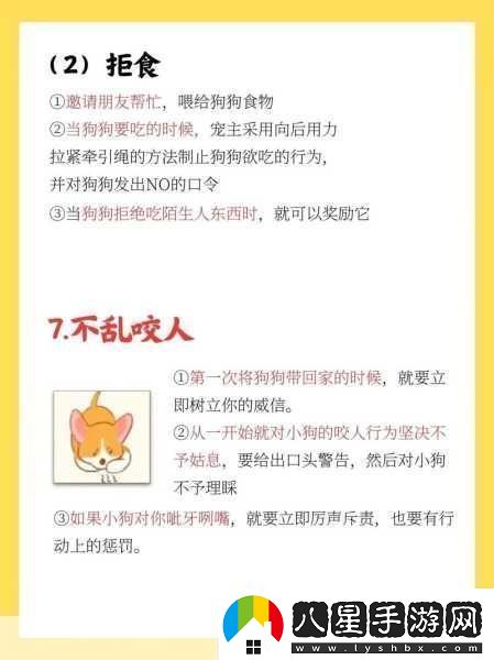 籃球隊的公共玩具正偉