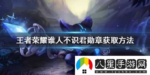 王者榮耀誰(shuí)人不識君勛章