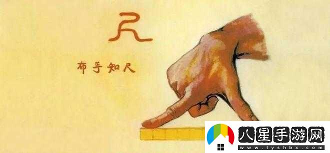一只手剛好握住算大還是小的標準界定