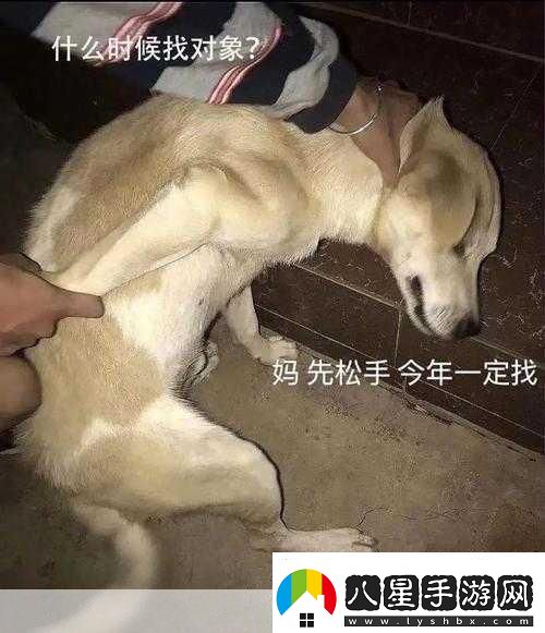 啊哈哈哈哈主人我錯了