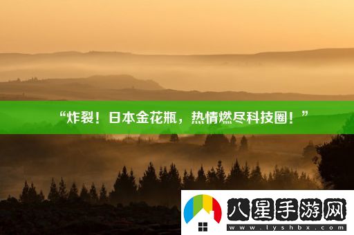 “炸裂！日本金花瓶