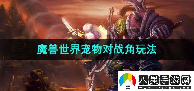 魔獸世界寵物對戰角怎么玩