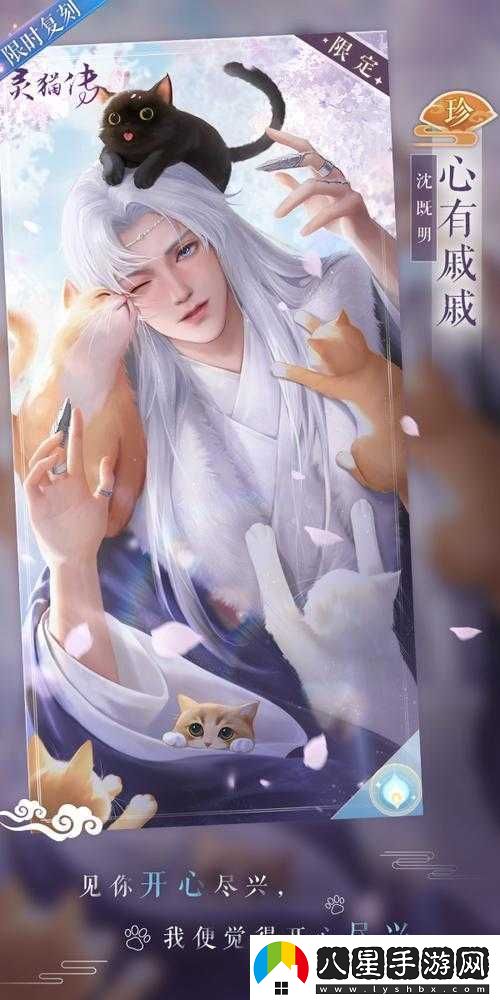 靈貓傳珍品花箋卡概率詳解與保底機制保障說(shuō)明