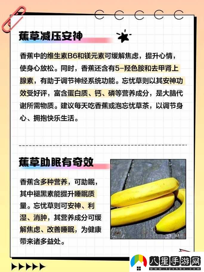香蕉和忘憂(yōu)草的區別