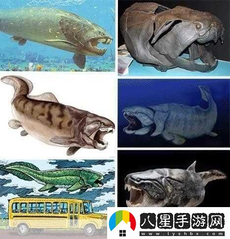 得到超級肉禽系統的紫嶺紅山有什么特別之處