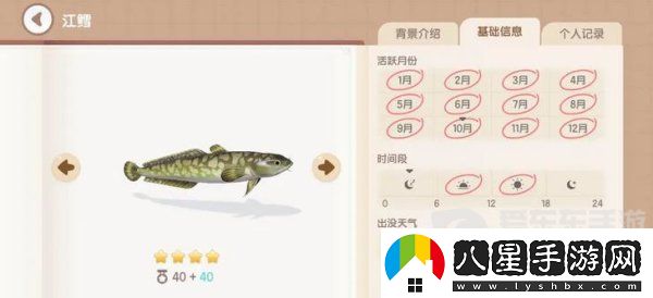 心動(dòng)小鎮手游江鱈釣魚(yú)如何釣