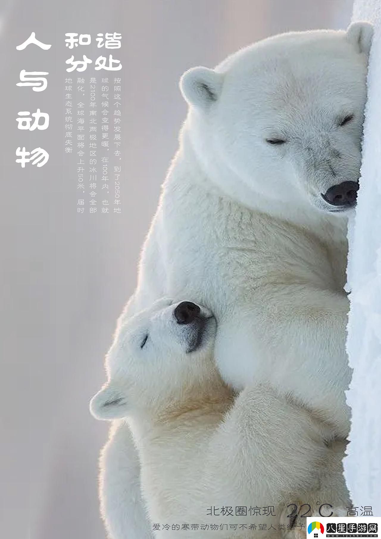 喵星人與人類(lèi)