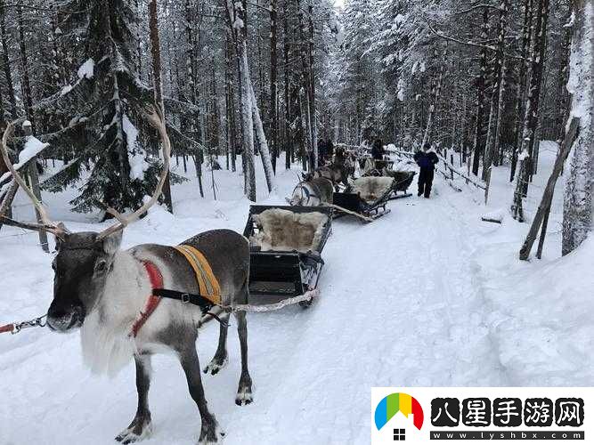 尋找冰原守衛者拉雪橇的麋鹿