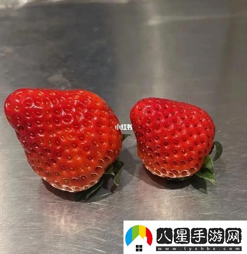 “蜜絲婷草莓對決