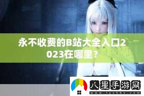2024b站永不收費