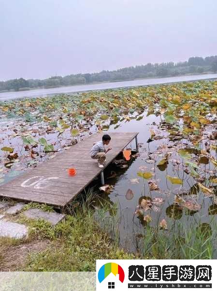 揭秘99無(wú)人區碼一碼二碼三1080p不再是夢(mèng)