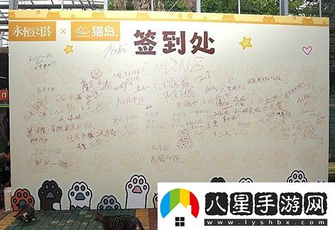 永恒之塔攜手玩家登陸“上海貓島”參與公益項目關(guān)愛(ài)社區流浪貓
