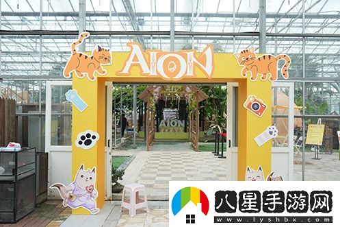 永恒之塔攜手玩家登陸“上海貓島”參與公益項目關(guān)愛(ài)社區流浪貓