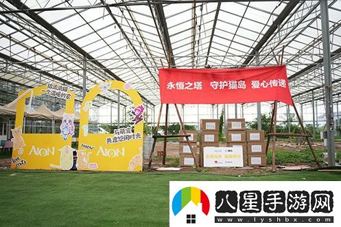 永恒之塔攜手玩家登陸“上海貓島”參與公益項目關(guān)愛(ài)社區流浪貓