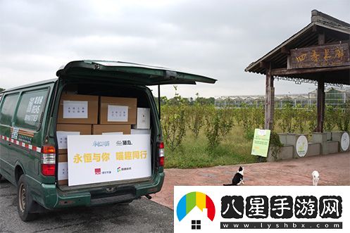 永恒之塔攜手玩家登陸“上海貓島”參與公益項目關(guān)愛(ài)社區流浪貓