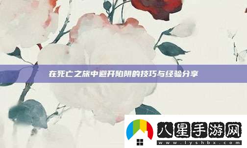 在死亡之旅中避開(kāi)陷阱的技巧與經(jīng)驗分享