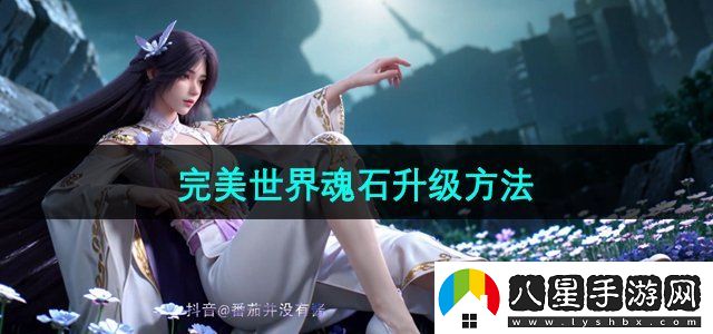 完美世界魂石怎么升級
