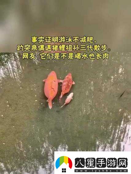女人鯉魚(yú)喝水圖解大全之詳細解析