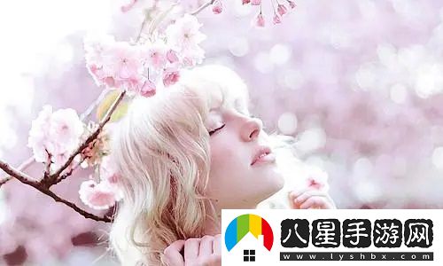 成免費CRM特色VIP
