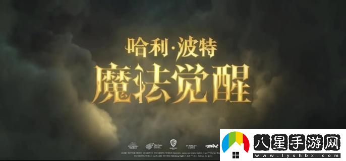 哈利波特魔法覺(jué)醒捏臉攻略詳解，輕松打造獨特角色外觀(guān)的方法