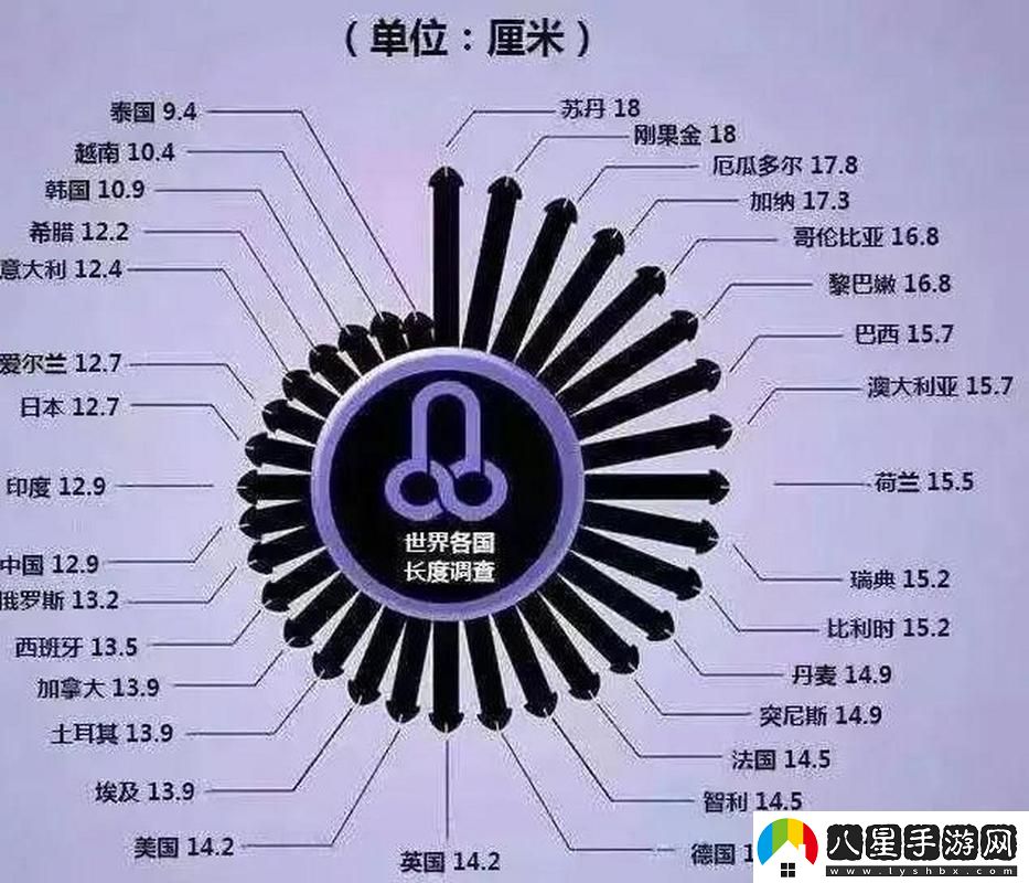 科技界的“粗與長(cháng)”之爭