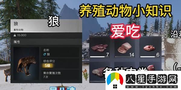 七日世界養殖什么動(dòng)物好,養殖動(dòng)物推薦