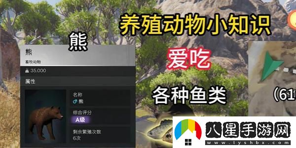 七日世界養殖什么動(dòng)物好,養殖動(dòng)物推薦
