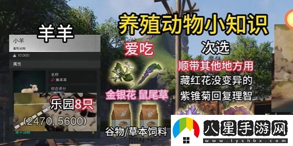 七日世界養殖什么動(dòng)物好,養殖動(dòng)物推薦