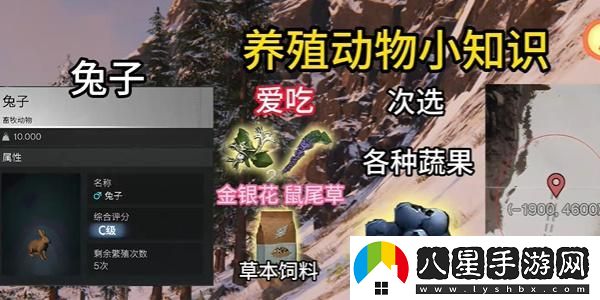 七日世界養殖什么動(dòng)物好,養殖動(dòng)物推薦