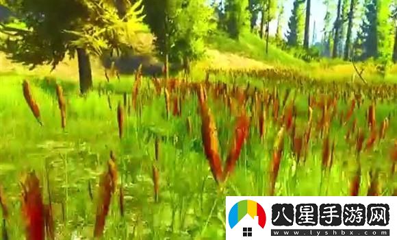龍之谷英雄等級快速提升技巧：如何在短時(shí)間內成為頂級戰士的終極秘笈