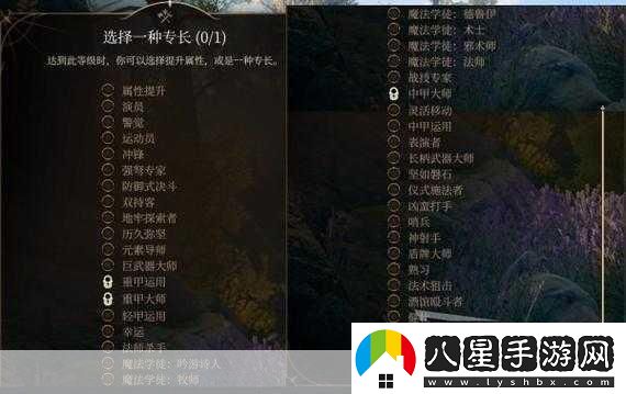 博德之門(mén)3攻略秘籍