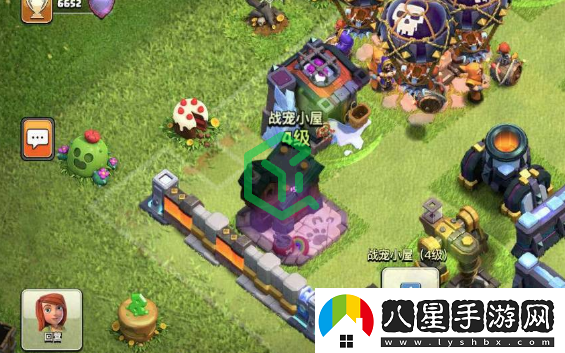 部落沖突戰寵怎么獲得