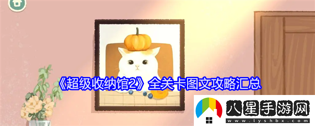 超級收納館2全關(guān)卡通關(guān)詳細攻略指南及匯總大全