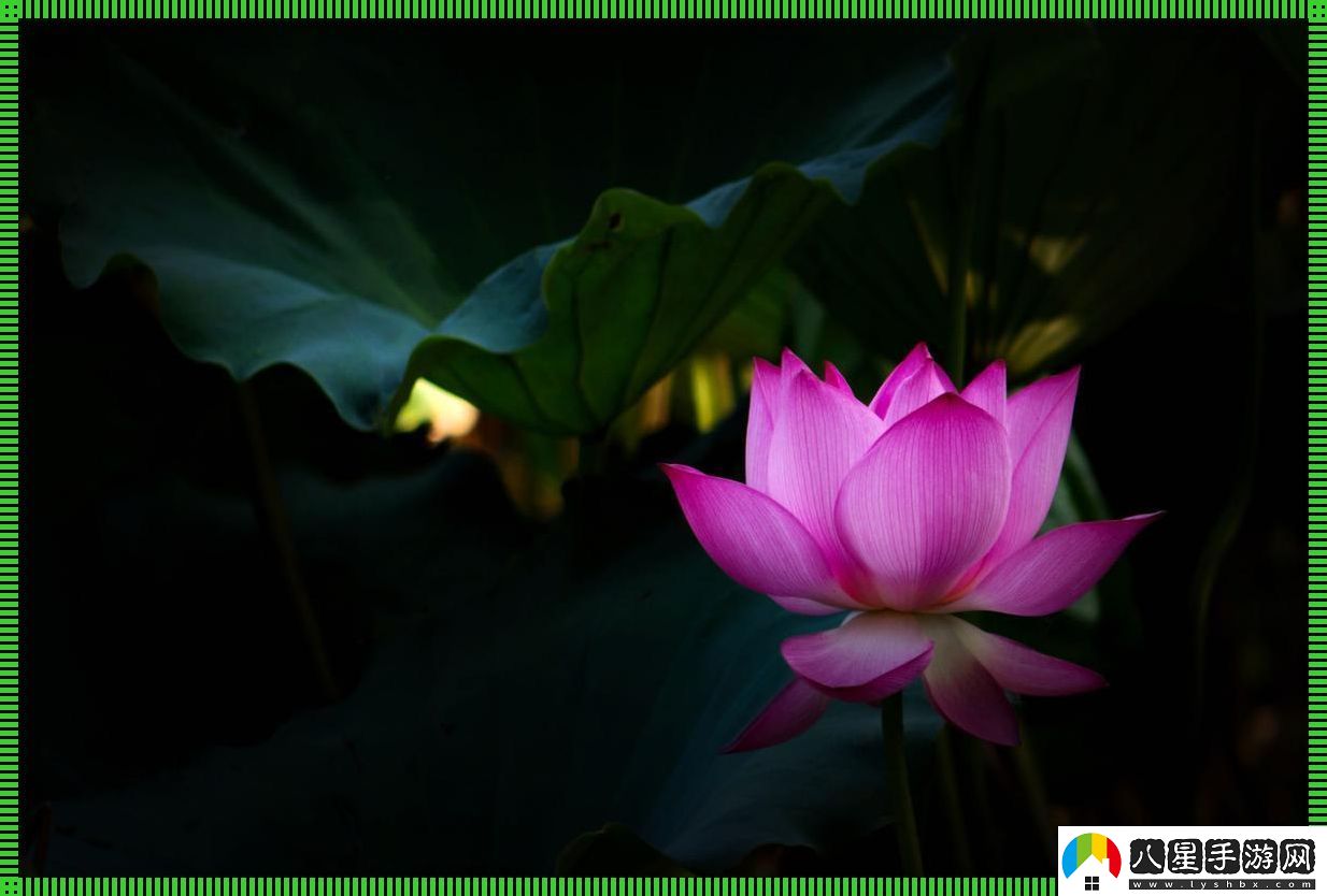 女子半夜蓮花開(kāi)