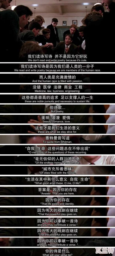 豐?？v滿(mǎn)2588最火的一句電影臺詞深度解析