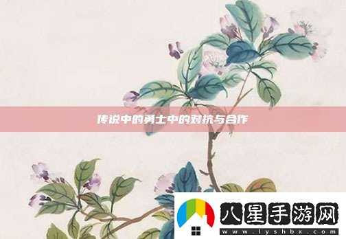 傳說(shuō)中的勇士中的對抗與合作