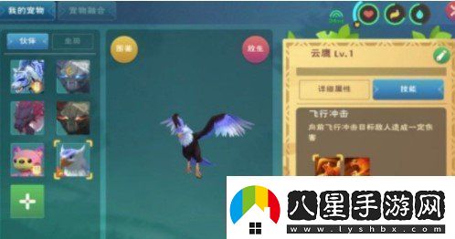 創(chuàng  )造與魔法云鷹飼料怎么做云鷹飼料配方制作攻略